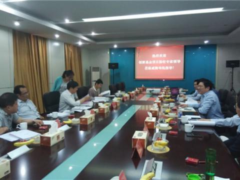 凯时尊龙官网网址母线顺遂通过国家科技部手艺立异项目验收