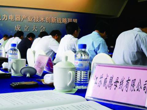 凯时尊龙官网网址母线加入江苏省电力电器工业手艺立异战略同盟