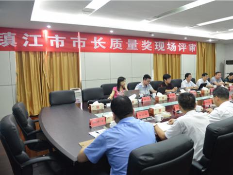 镇江市市长质量奖现场评审运动在凯时尊龙官网网址母线顺遂举行